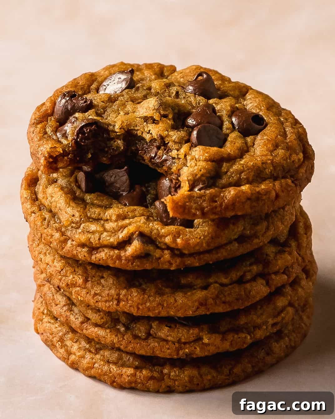 Soft Pumpkin Chocolate Chip Cookies — Fall Baking Recipe 6 Pumpkin chocolate chip cookies are soft and chewy pumpkin cookies filled with nutty brown butter, cozy warming spices and lots of melty chocolate chips. These chocolate chip pumpkin cookies are easy to make and have a quick chill time. Make these chewy pumpkin chocolate cookies whenever you want a classic cookie with the perfect flavor twist for fall.