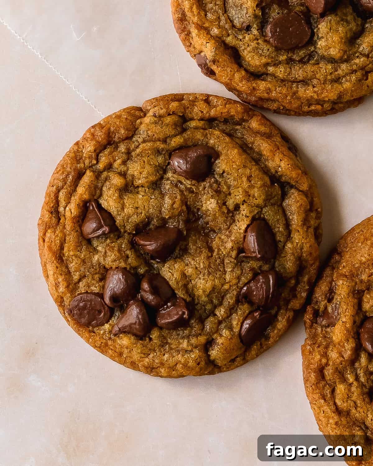 Soft Pumpkin Chocolate Chip Cookies — Fall Baking Recipe 7 Pumpkin chocolate chip cookies are soft and chewy pumpkin cookies filled with nutty brown butter, cozy warming spices and lots of melty chocolate chips. These chocolate chip pumpkin cookies are easy to make and have a quick chill time. Make these chewy pumpkin chocolate cookies whenever you want a classic cookie with the perfect flavor twist for fall.