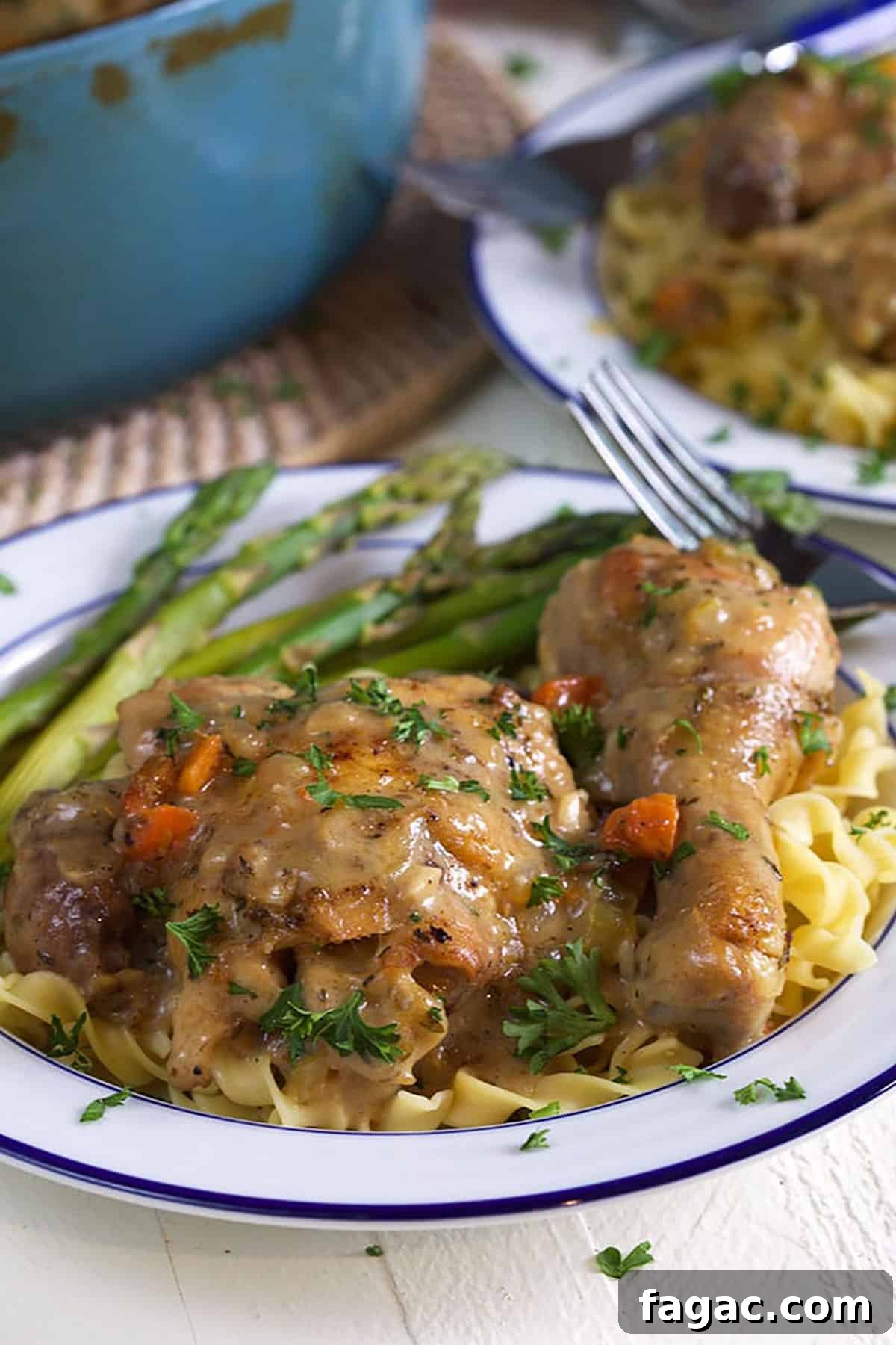 Classic Chicken Fricassee Recipe: Creamy One-Pot French Comfort Meal 2 A serving of chicken fricassee is served over cooked egg noodles and asparagus on a white plate.