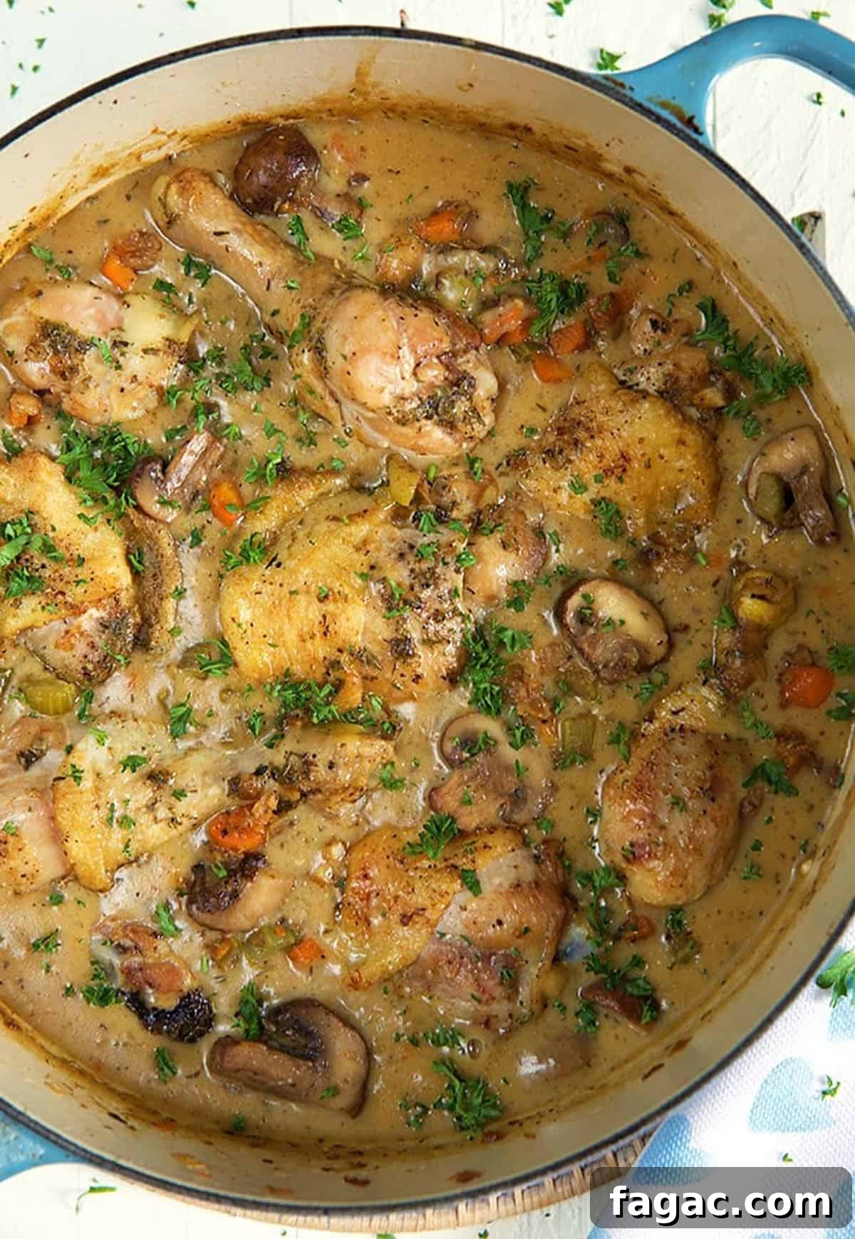 Classic Chicken Fricassee Recipe: Creamy One-Pot French Comfort Meal 6 Chicken fricassee is in a large dutch oven.