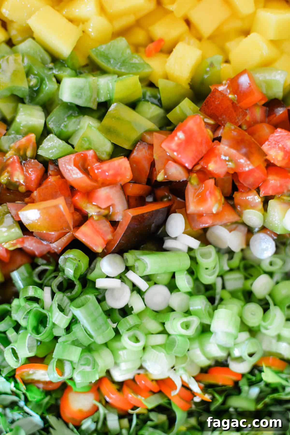 Diced mango, tomatoes, scallions, thinly sliced red Serrano peppers, and chopped parsley all lined up in a row. 