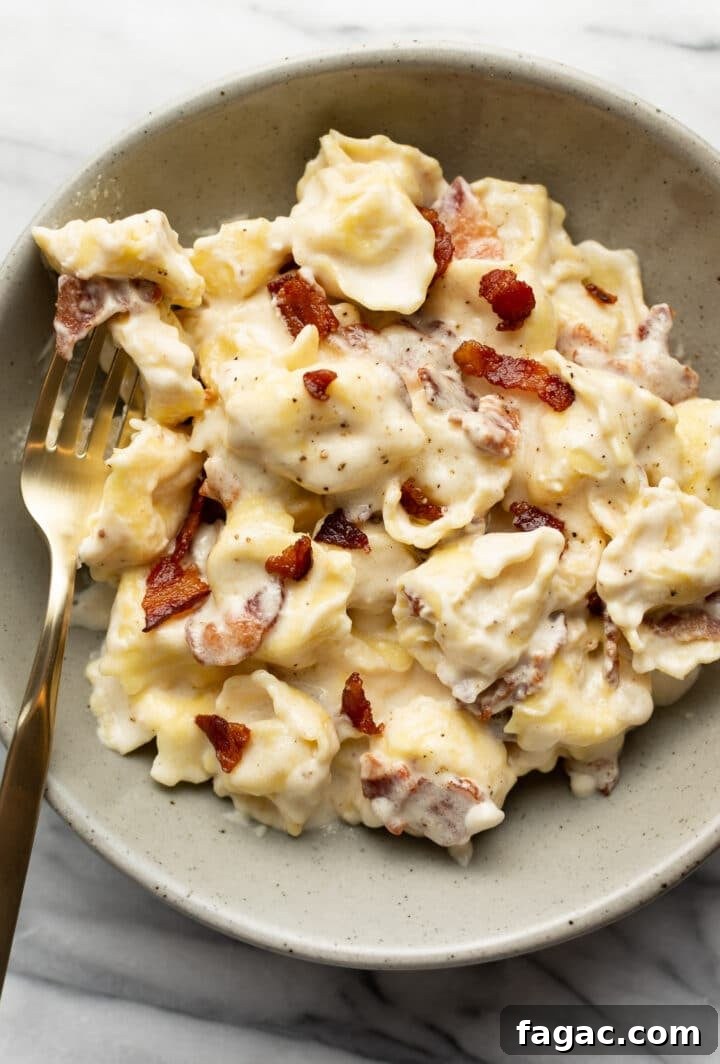 a bowl of cream cheese tortellini alfredo with a fork