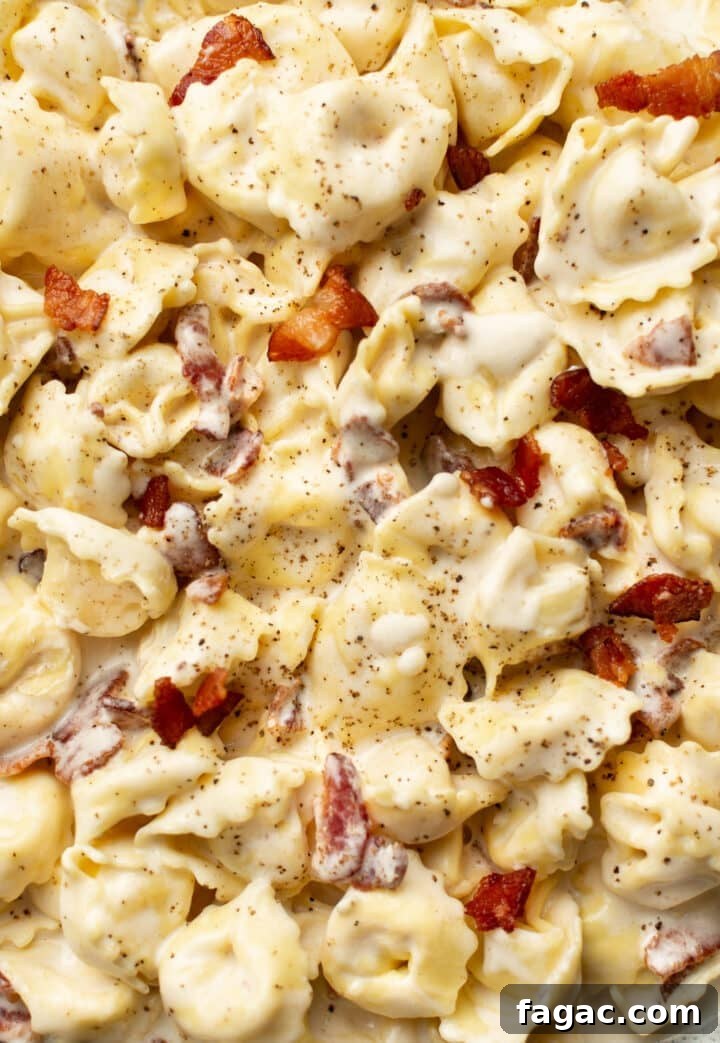 closeup of tortellini in creamy sauce with bacon