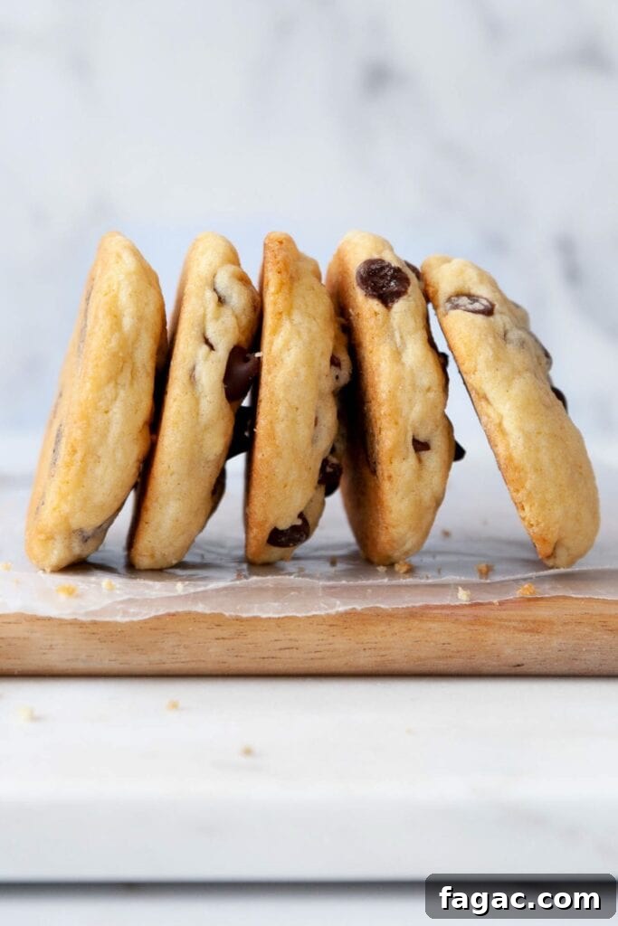 thick and chewy chocolate chip cookies without brown sugar