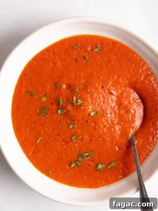 Sun-Dried Tomato Pasta with Garlic, Basil & Parmesan 10 red pepper and tomato soup served in a white bowl with a spoon inside.