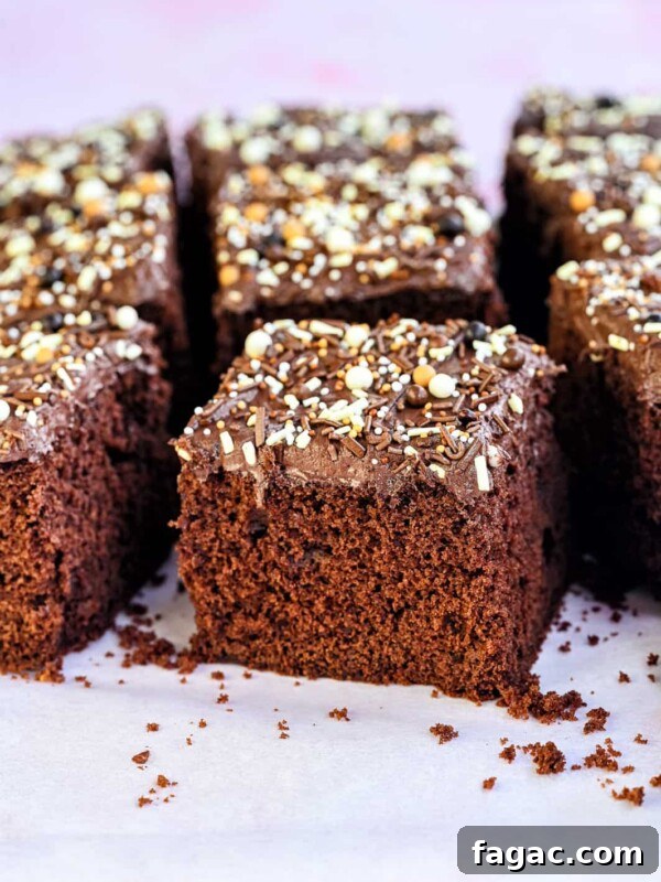 School Chocolate Cake