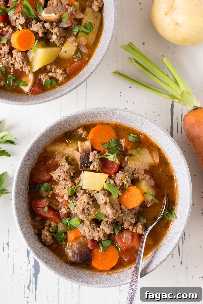 Top down shot of two gray bowls with ground beef soup in them. A carrot, a potato, and fresh parsley are next to the bowls. A spoon rests inside one of the bowls.
