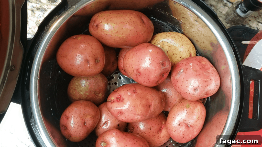 Crispy Red Potato Bake in the Instant Pot: Tender Inside, Golden Top 5 red potatoes in the instant pot