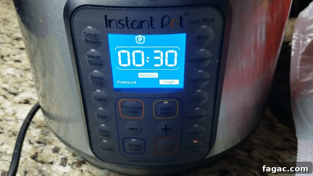 Crispy Red Potato Bake in the Instant Pot: Tender Inside, Golden Top 6 Instant pot