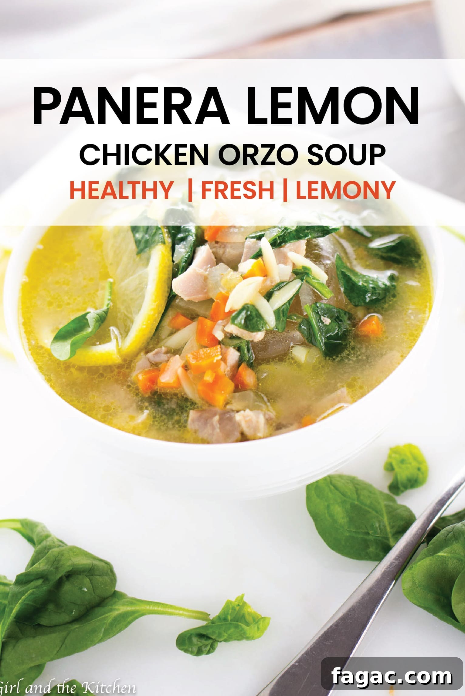 panera lemon chicken orzo soup