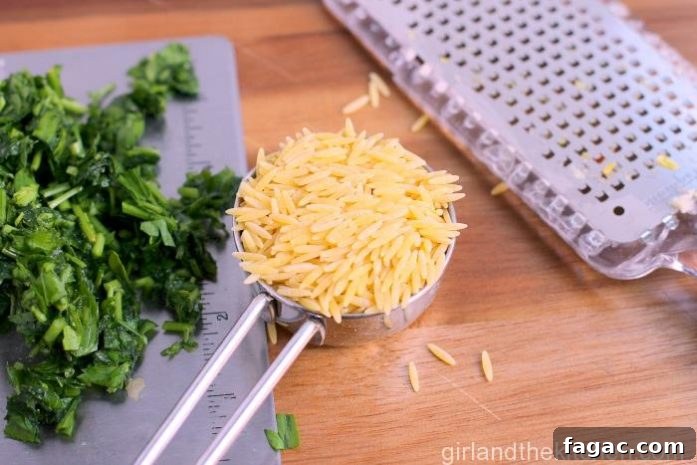 spoon of orzo