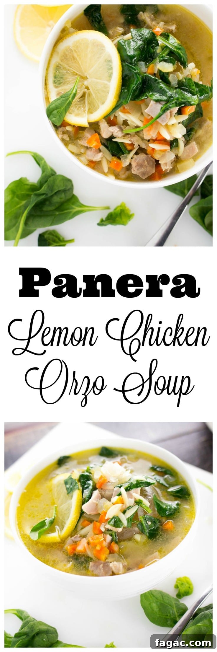 A perfect take on the popular Panera Lemon Chicken Orzo soup! A healthy and fresh soup bursting with bright lemony flavors and tender orzo pasta!
