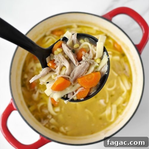 Amish Chicken Corn Noodle Soup