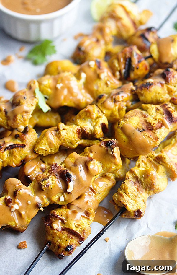 Weeknight Meal Plan: 7 Dinners for Week 219 3 Chicken Satay with Peanut Sauce