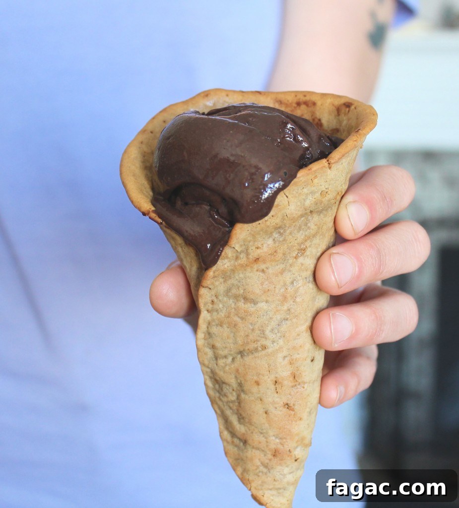 dairyfree chocolate ice cream