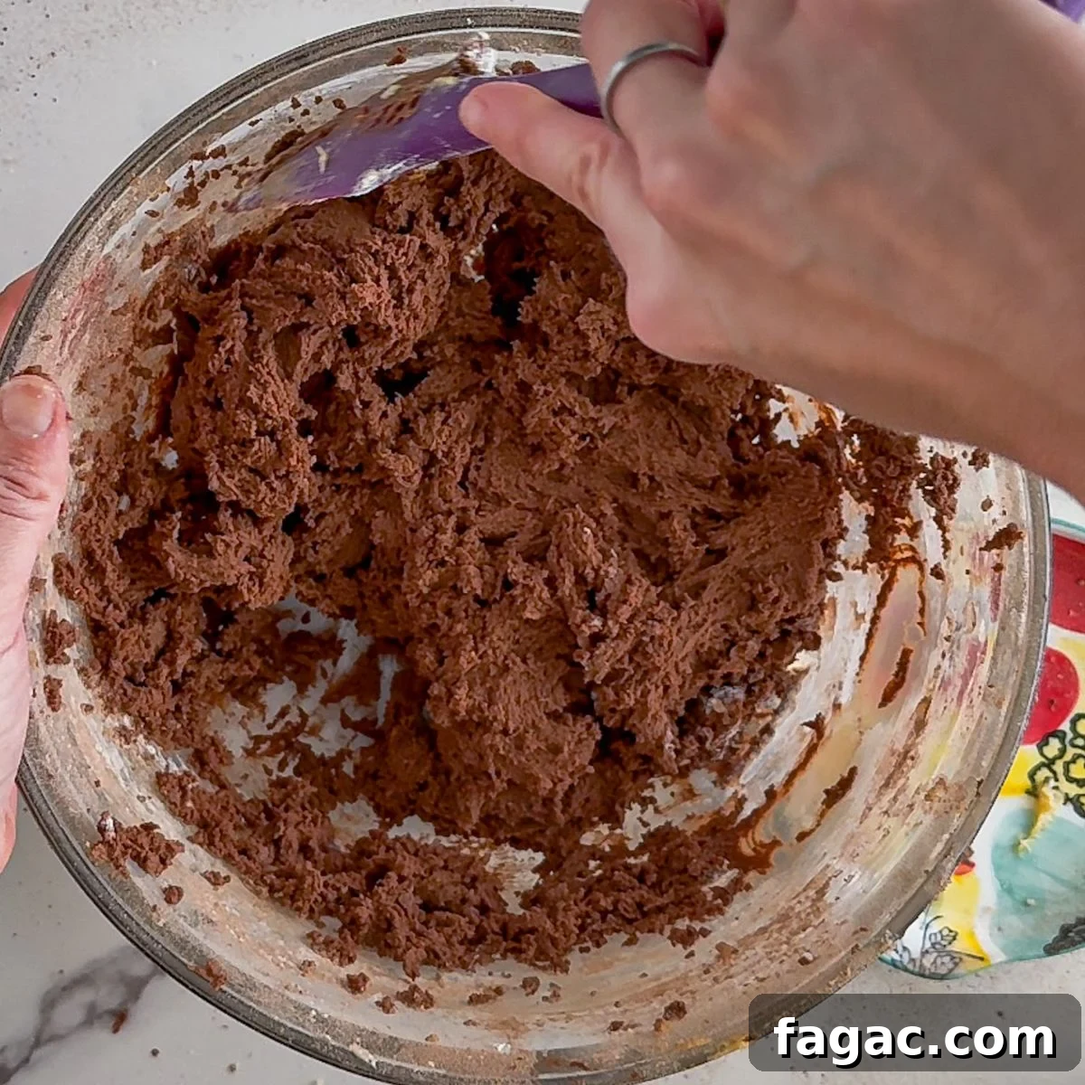Ultimate Chewy Chocolate Cookie Recipe for Perfect Texture 6 Mixing in the flour and cocoa powder.