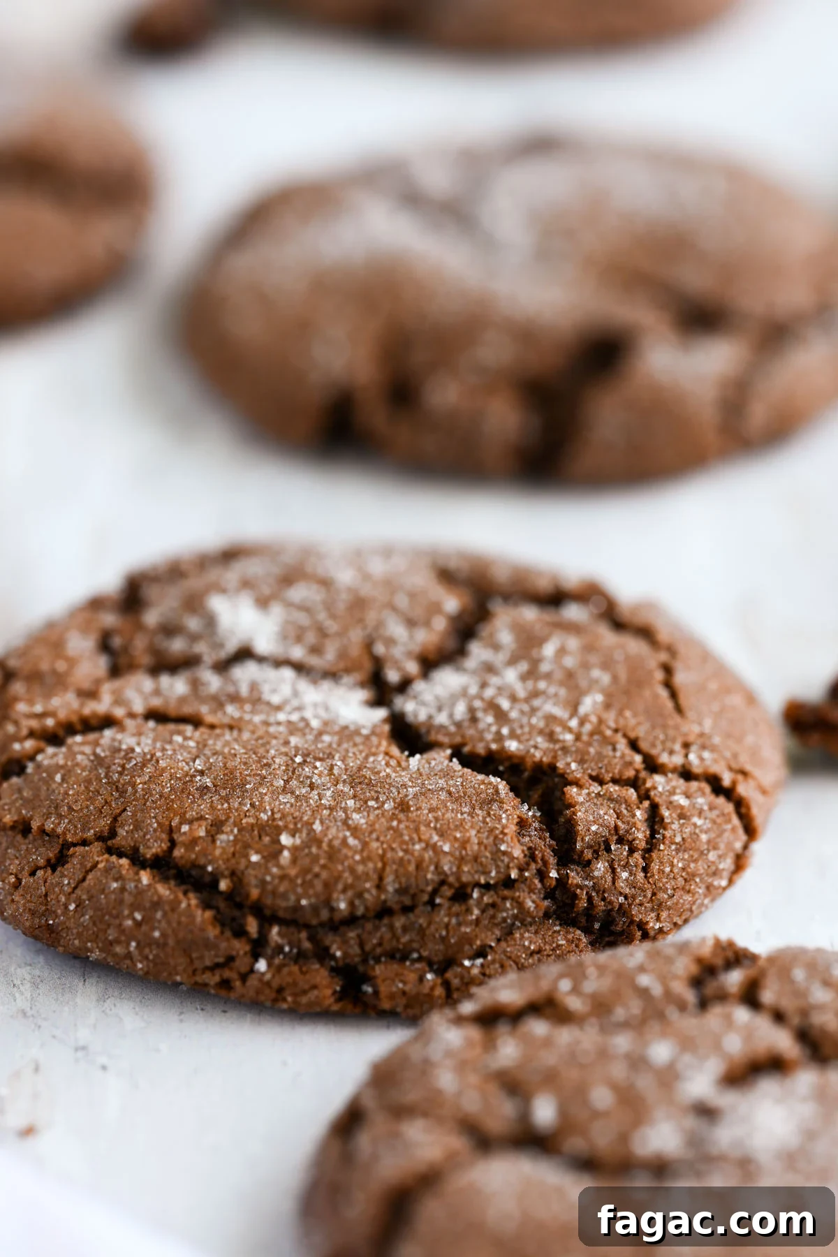 Ultimate Chewy Chocolate Cookie Recipe for Perfect Texture 9 Chocolate cookies.