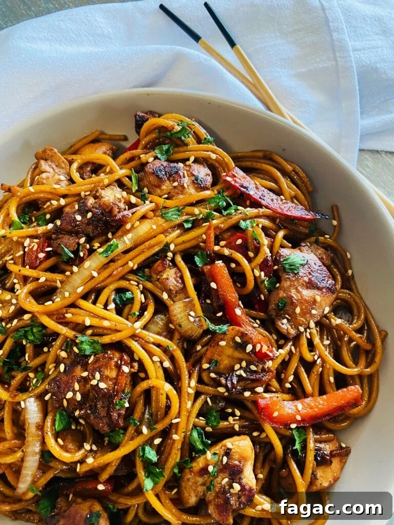 Top Blackstone Pasta Recipes for Flavorful Outdoor Cooking 11 Blackstone Chicken Lo Mein