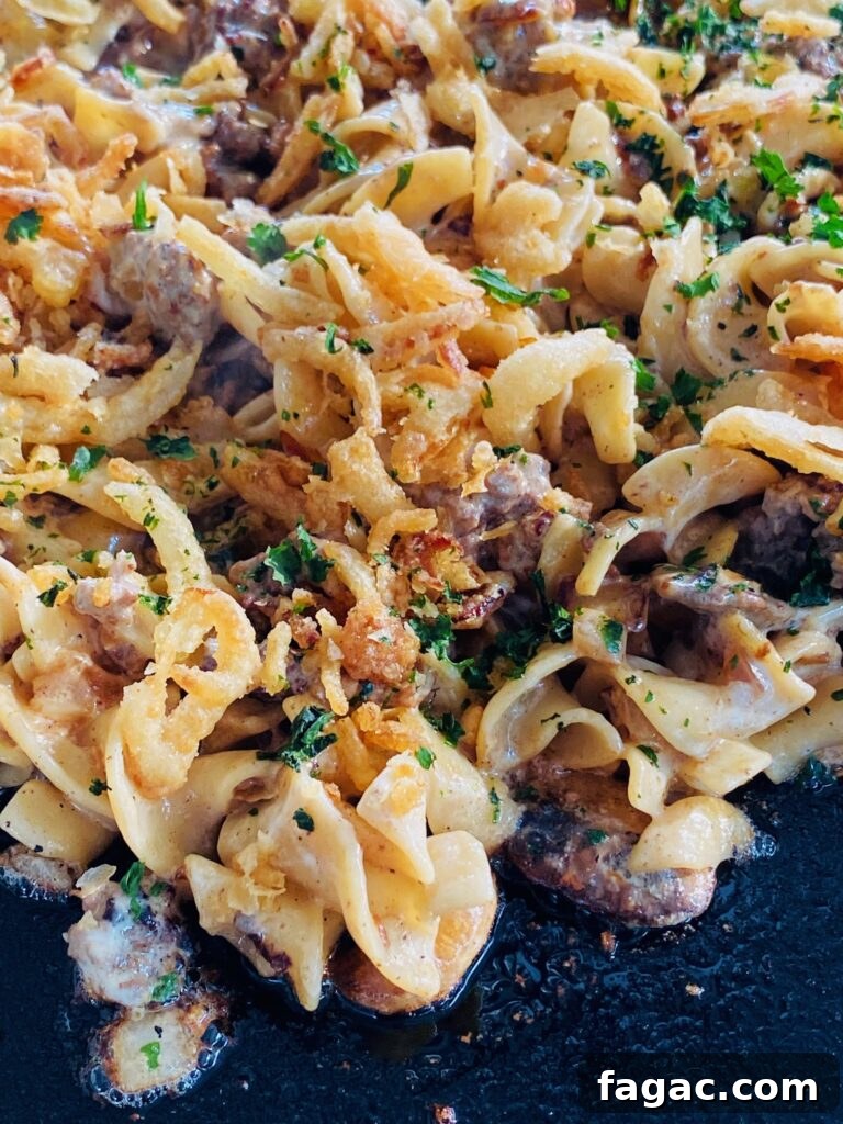 Top Blackstone Pasta Recipes for Flavorful Outdoor Cooking 7 Blackstone French Onion Beef and Noodles