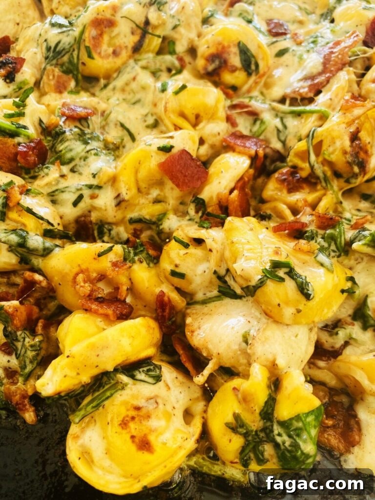 Top Blackstone Pasta Recipes for Flavorful Outdoor Cooking 9 Best Blackstone Pasta Recipes
