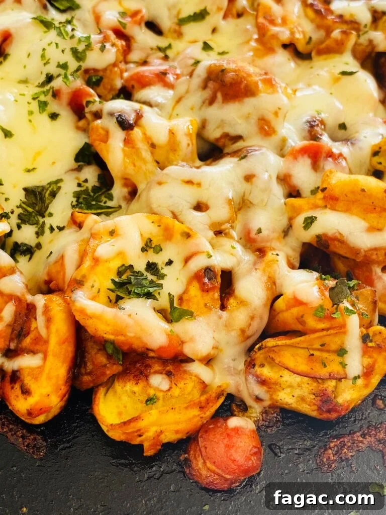 Top Blackstone Pasta Recipes for Flavorful Outdoor Cooking 10 Blackstone Griddle Pizza Tortellini