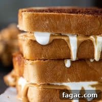 Fluffernutter Sandwich Recipe: Classic Peanut Butter and Marshmallow Fluff 2 Fluffernutter Panini Recipe