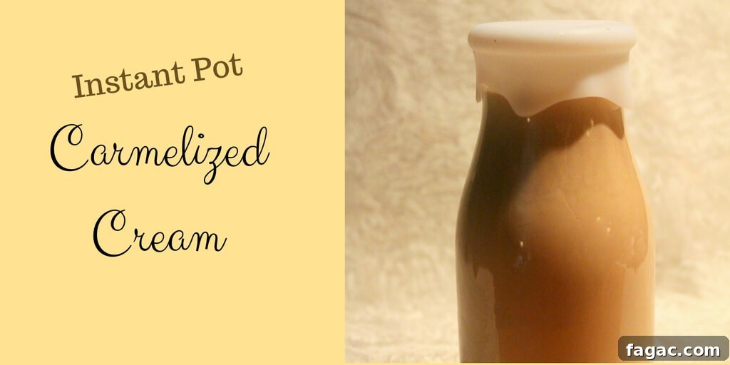 Instant Pot Carmelized Cream (THM S, Low Carb)