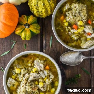 overhead shot of two bowls of turkey stuffing dumpling soup