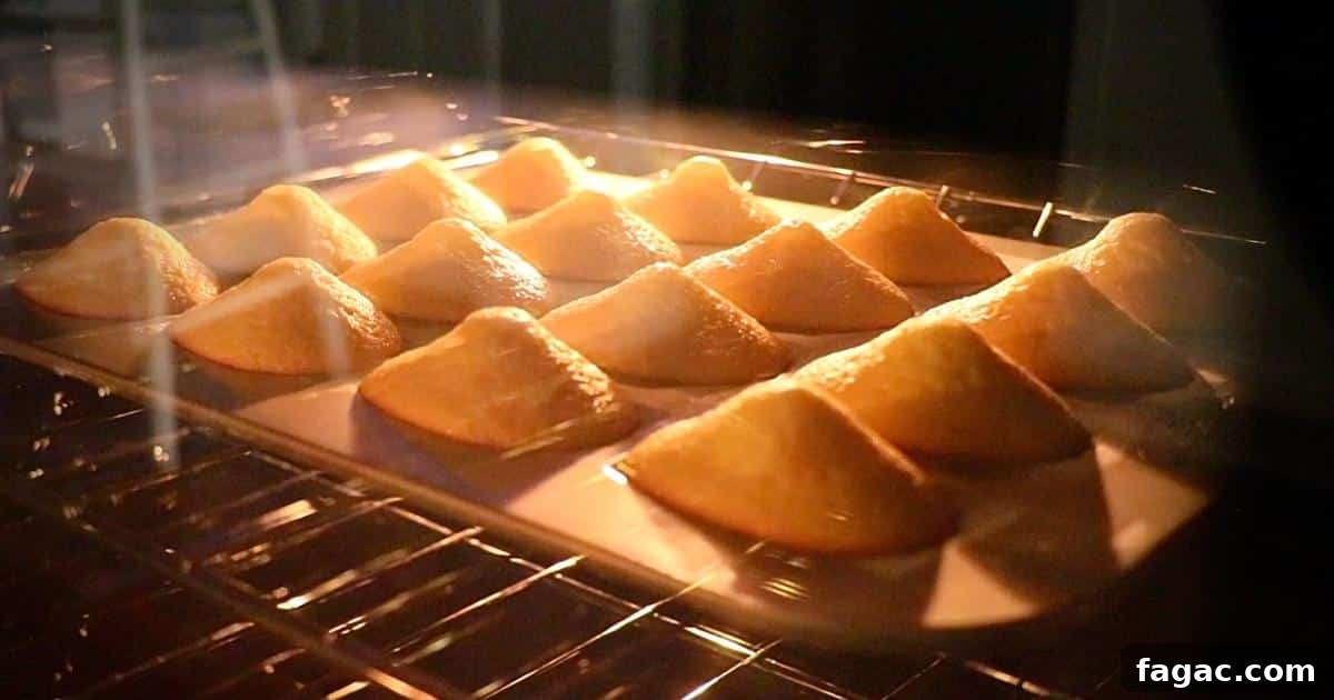 madeleines rising in the oven