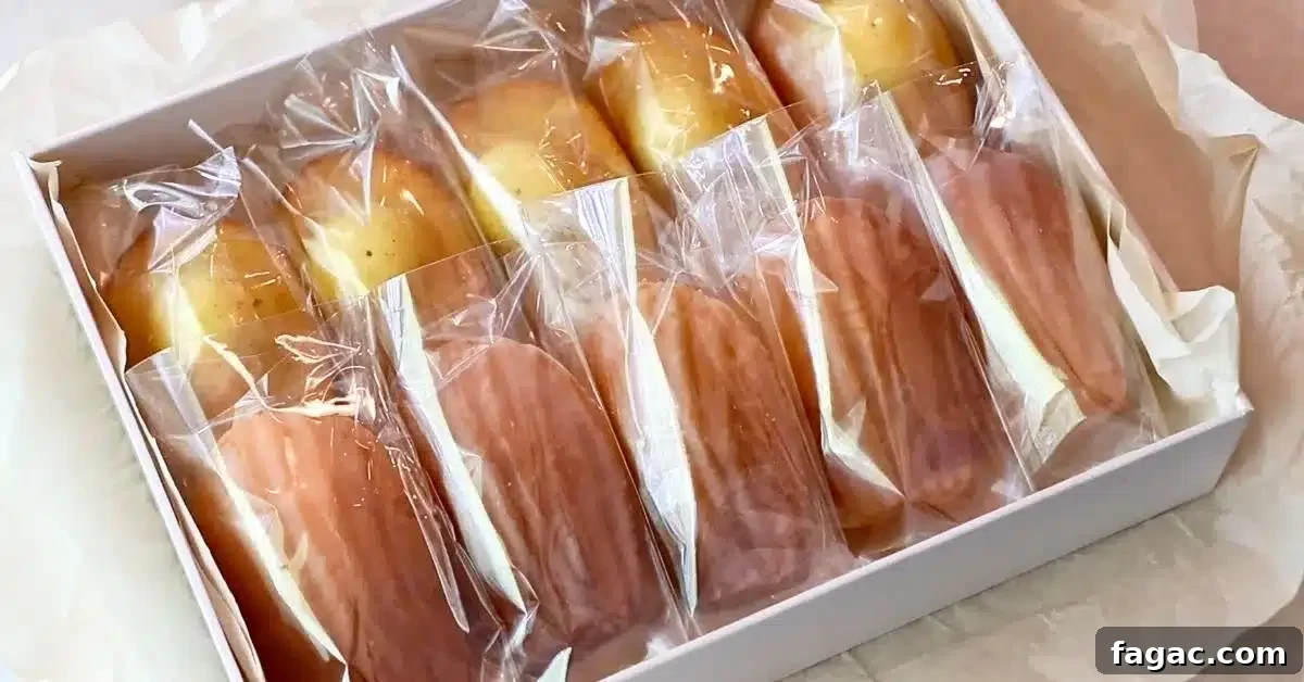 homemade madeleines wrapped as a gift in a box