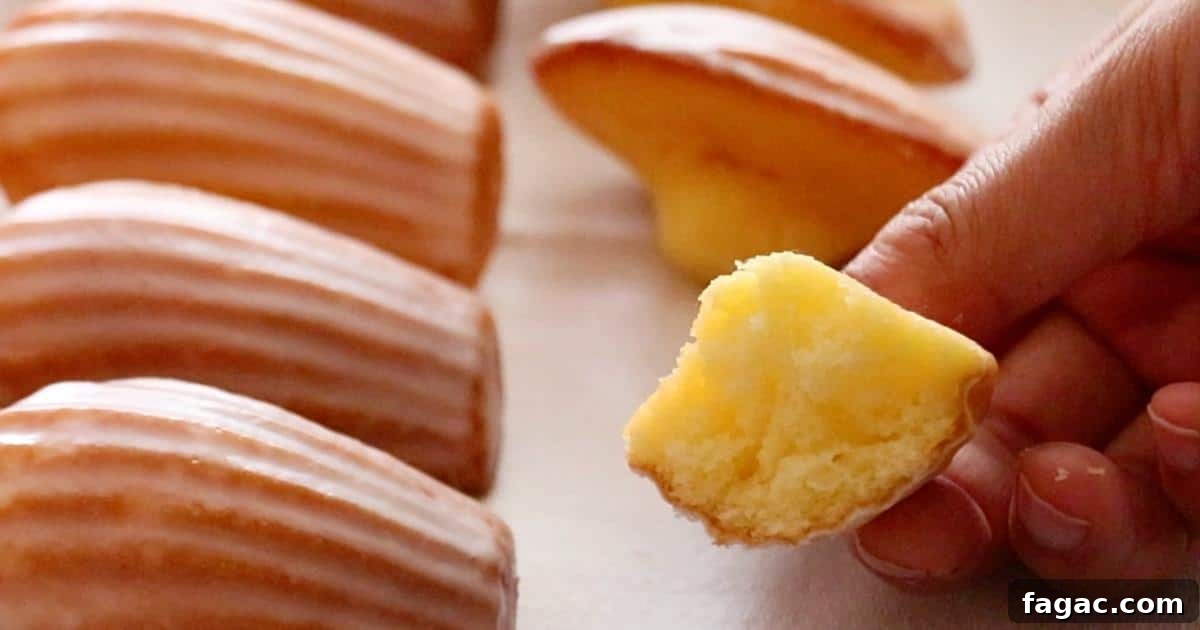 the texture of lemon madeleines