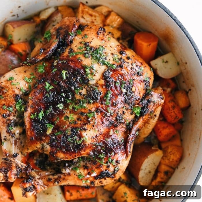 Crispy Roast Chicken with Herb Butter and Lemon 10 Dutch oven filled with chopped root vegetables and topped with a perfectly juicy golden baked chicken.