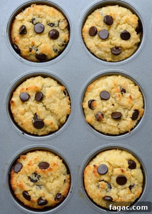 Coconut Flour Muffins: Moist, Low-Carb Recipe for Beginners 14 overhead shot showing baked coconut flour muffins with chocolate chips