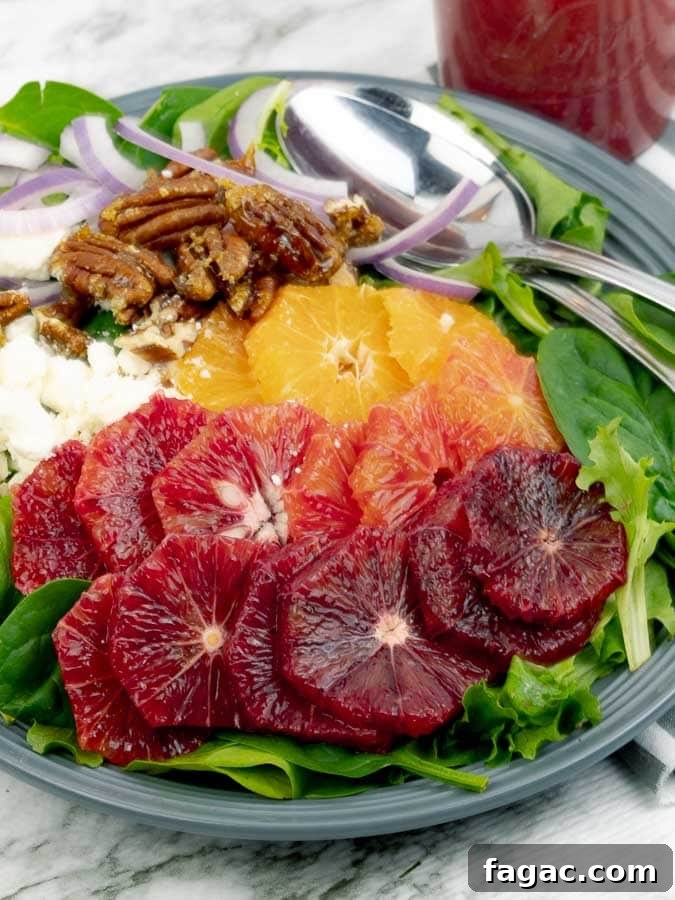 Blood Orange Salad with Tangy Orange Vinaigrette 4 Blood Orange Citrus Salad with Orange Vinaigrette on a gray plate