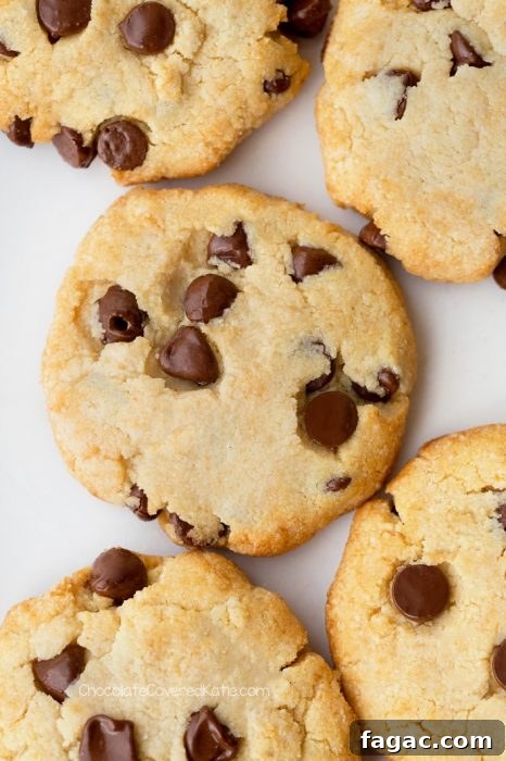 Creamy Low-Carb Keto Ice Cream Recipes for Guilt-Free Treats 5 Sugar Free Chocolate Chip Cookies