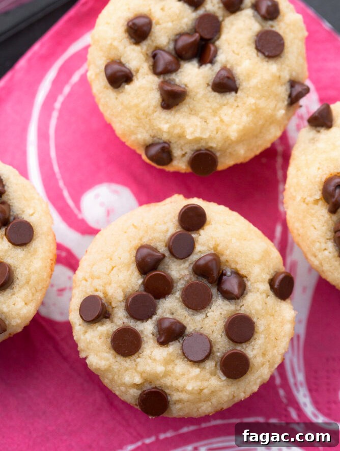 Creamy Low-Carb Keto Ice Cream Recipes for Guilt-Free Treats 9 Sugar Free Muffins