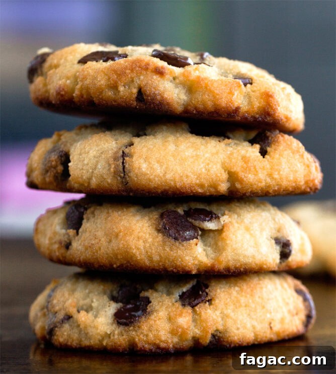 Creamy Low-Carb Keto Ice Cream Recipes for Guilt-Free Treats 10 Coconut Flour Chocolate Chip Cookies