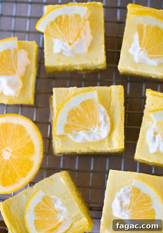Creamy Low-Carb Keto Ice Cream Recipes for Guilt-Free Treats 12 Keto Lemon Bars Recipe