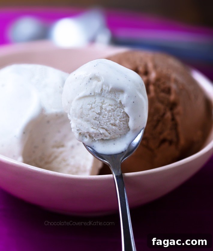 Ice Cream Spoon Ice Cream Spoon