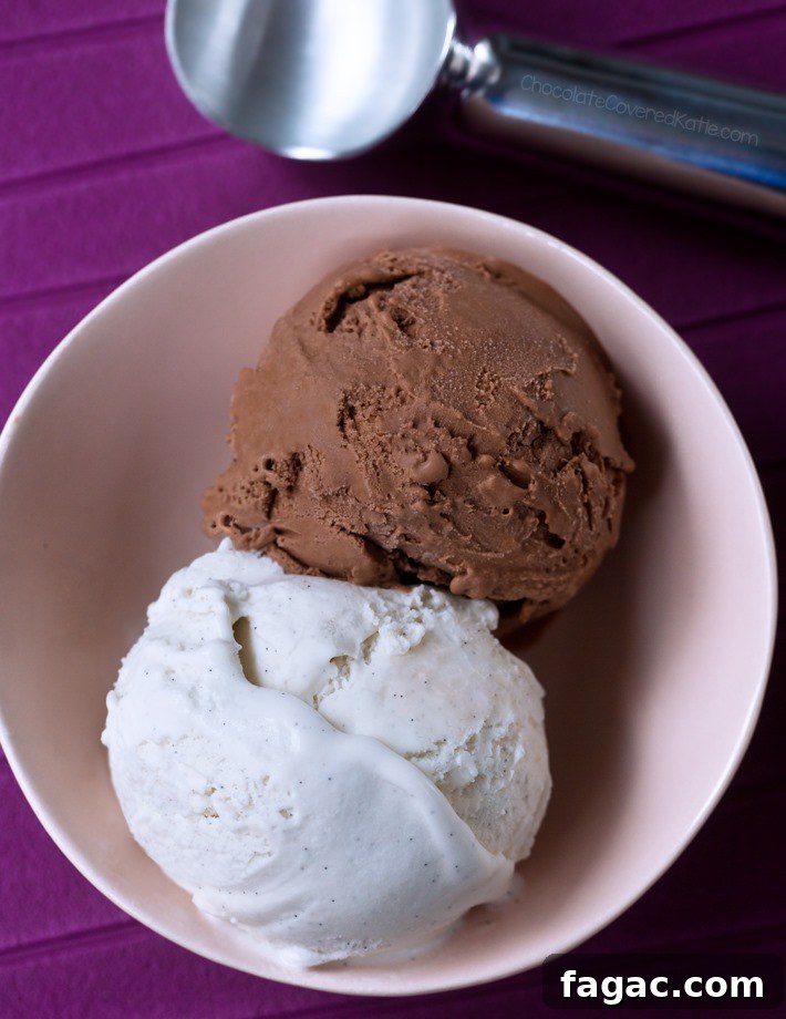 Vegan Ice Cream Vegan Ice Cream