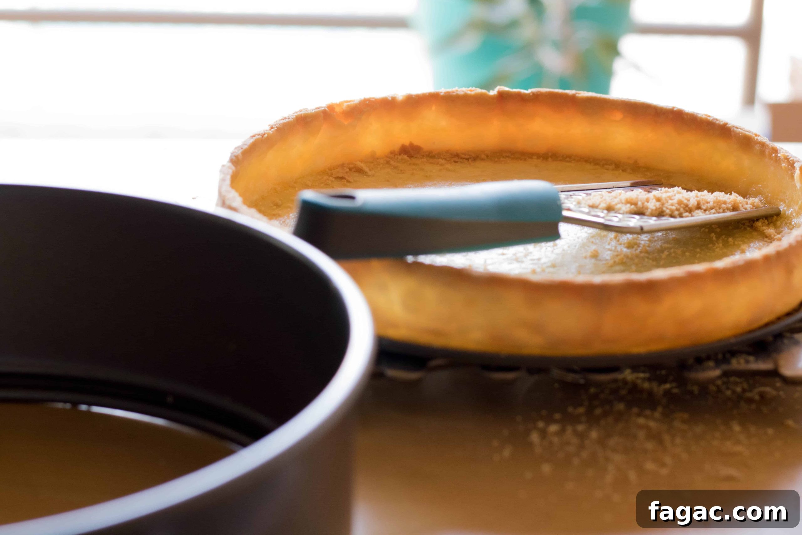 4 Secrets to Perfect Pie and Tart Shells Every Time 4 pre baked crust for your tarts and pies this thanksgiving season