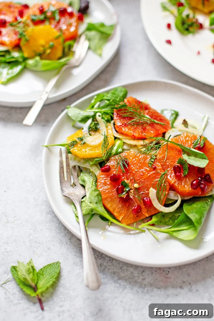 close up photo of plates set on a table with fennel orange salad on them