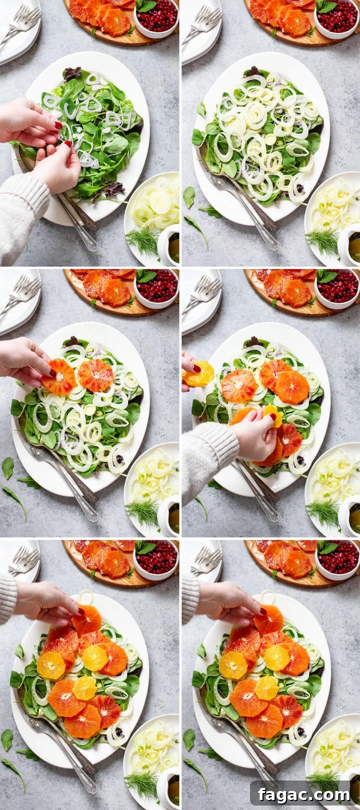step by step photos showing how to make fennel salad with oranges