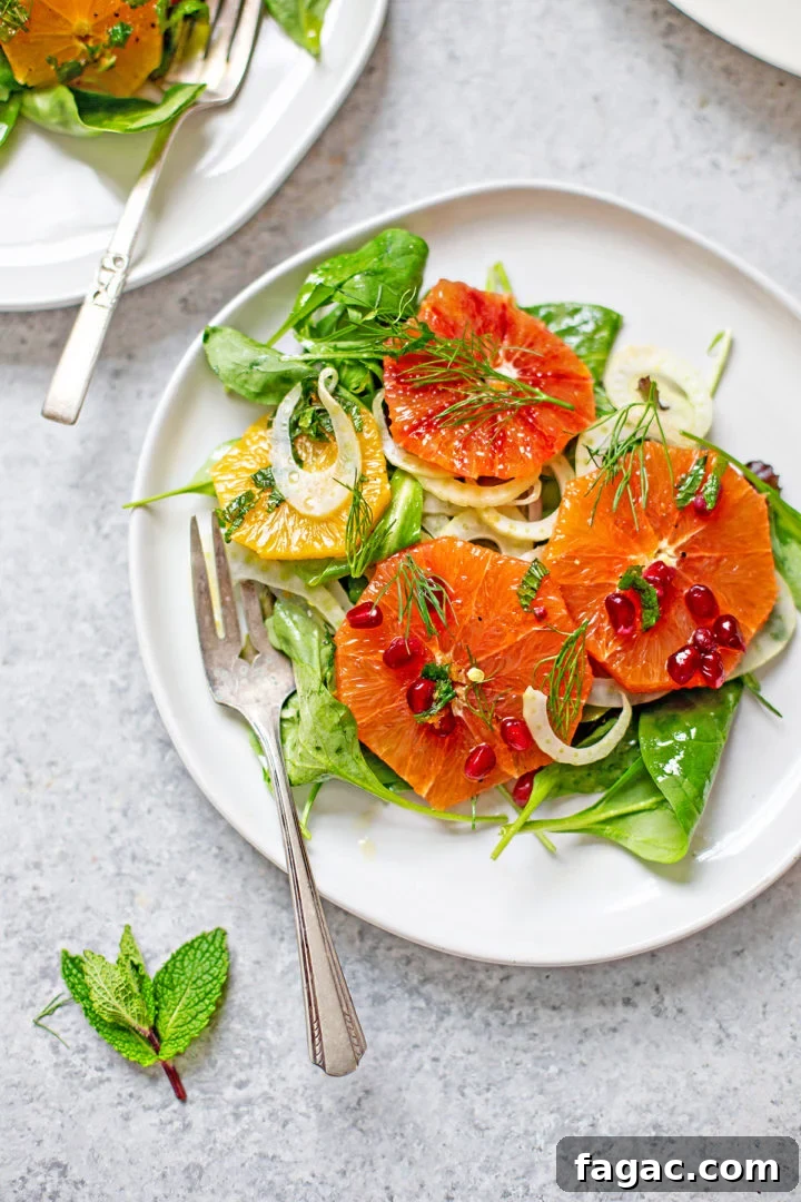 overhead photo of a white plate with fennel and orange salad and a salad fork