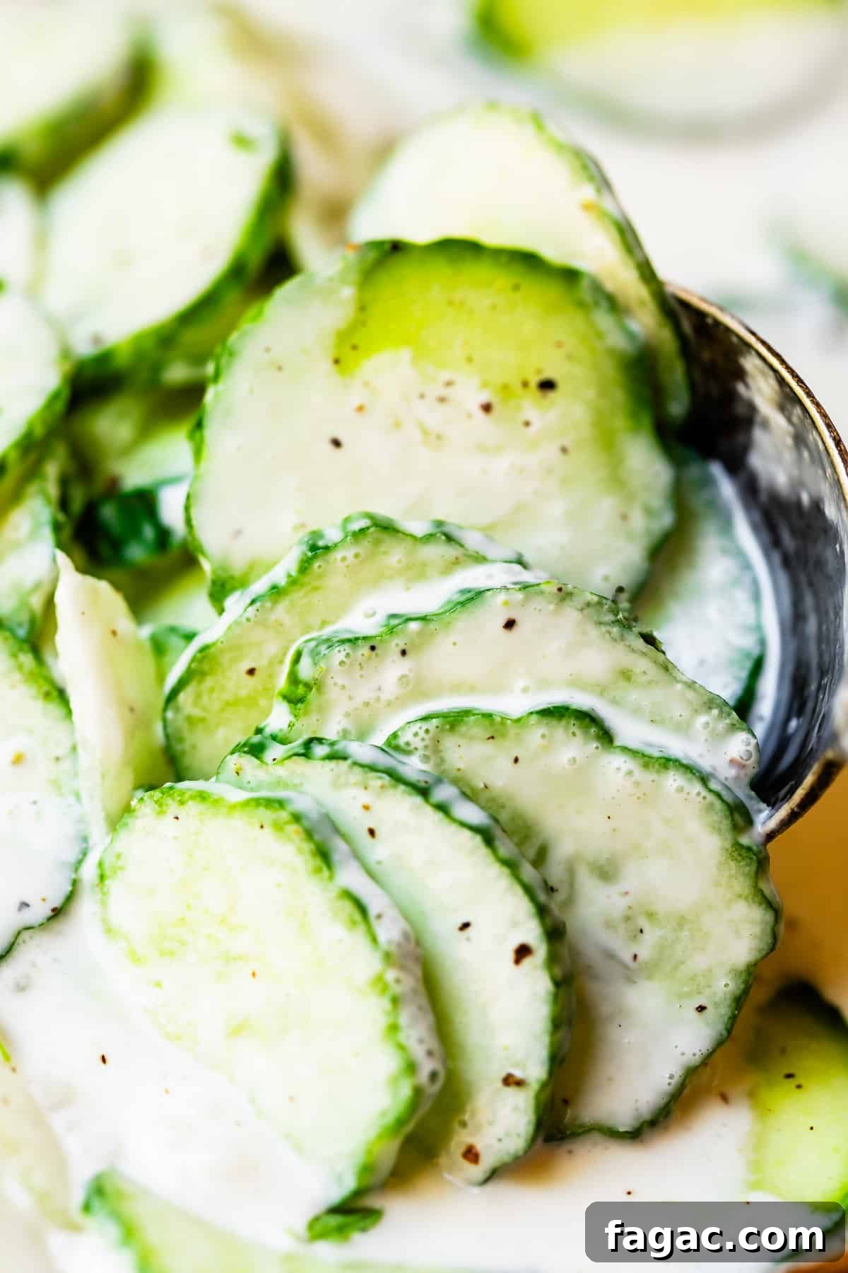 Aunt Joy’s Creamy Cucumber Salad Recipe for Summer Sides 3 close up shot of cucumbers in a creamy sauce with pepper, held up by metal spoon.