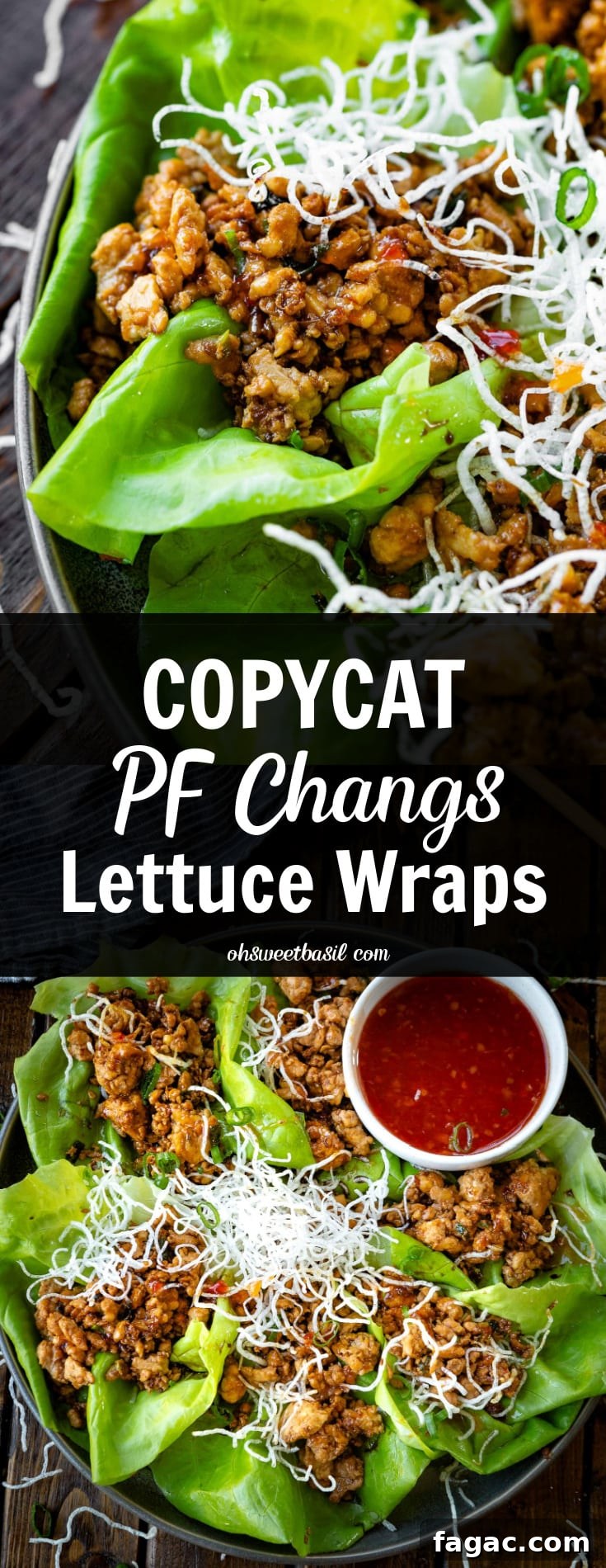 Copycat P.F. Chang’s Chicken Lettuce Wraps Recipe 4 img 4501 10