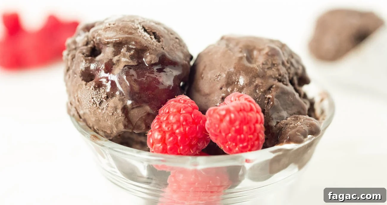 Decadent Raspberry Dark Chocolate Gelato Recipe for Dessert 2 Two scoops of homemade Dark Chocolate Raspberry Gelato in a clear bowl garnished with raspberries.