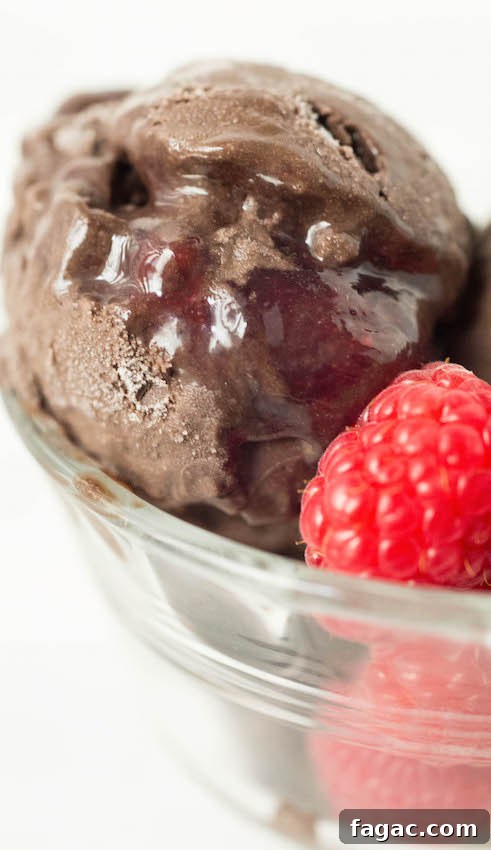 Decadent Raspberry Dark Chocolate Gelato Recipe for Dessert 3 Close up of a scoop of Dark Chocolate Raspberry Gelato in a glass bowl.