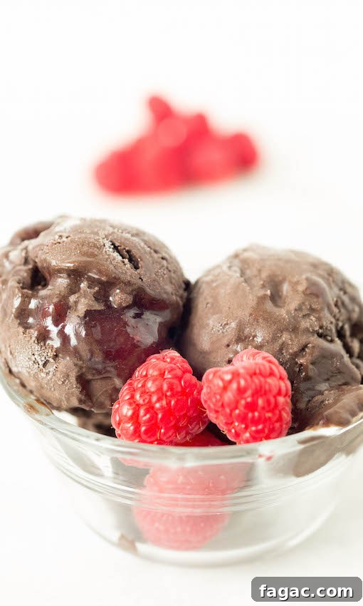 Decadent Raspberry Dark Chocolate Gelato Recipe for Dessert 4 Two scoops of dark chocolate raspberry gelato in a clear bowl on a white background.