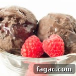 Decadent Raspberry Dark Chocolate Gelato Recipe for Dessert 5 Homemade Dark Chocolate Raspberry Gelato